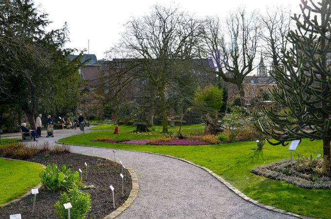 paths in Antwerp Botanical Garden